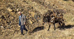 Sonbahar renklerine bürünen Bitlis'in köyleri fotoğrafçıları ağırladı