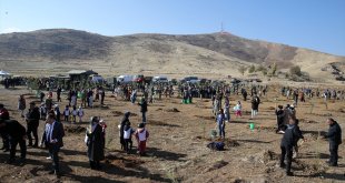 Muş'ta 11 bin fidan toprakla buluşturuldu