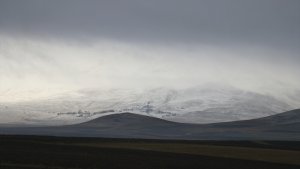 Kars, Ardahan ile Ağrı'da kar ve sis etkili oldu