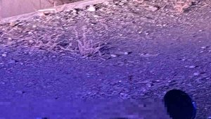 Tartıştığı arkadaşını silah kabzayla öldürdü