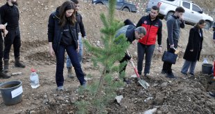 Çukurca'da şehit öğretmenler anısına fidan dikildi
