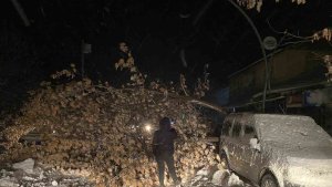 Tunceli'de fırtına, ağaçları devirdi