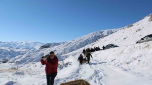 Yaban hayatını unutmadılar