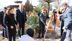 Elazığ'da kadına yönelik şiddetle mücadele için fidanlar toprakla buluştu