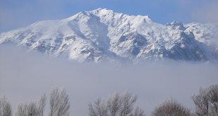 Tunceli'de dağları sis, ovalardaki ağaç ve bitkileri ise kırağı kapladı