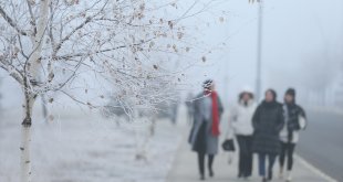 Termometrelerin eksi 22'yi gösterdiği Erzurum gece buz kesti