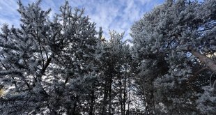 Erzurum, Ardahan, Ağrı ile Kars'ta kırağı ve buzlanmalar oluştu