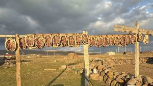Kars'ta kazlar tellerde kurutuluyor