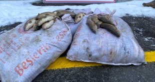 Erzurum'da kaçak balık avlayan 4 kişi hakkında işlem yapıldı