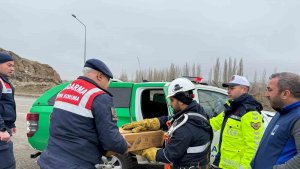 Muş'ta elektrik tellerine sıkışan puhu kuşu kurtarıldı