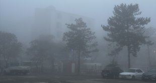 Iğdır'da yoğun sis nedeniyle görüş mesafesi 20 metreye kadar düştü