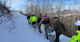 Bitlis'te yaban hayvanlar için doğaya yem bırakıldı