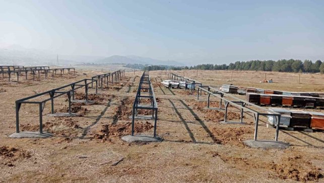 Bingöl'deki Bal Ormanları'na kovan sehpası kuruldu
