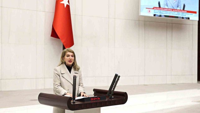 Ölmeztoprak bütçe görüşmelerinde konuştu