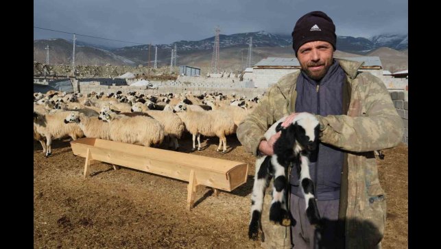 Erzincanlı üreticilerden çağrı: "Tulum Peyniri bizden 100'e çıkıyor, markette 400 oluyor"