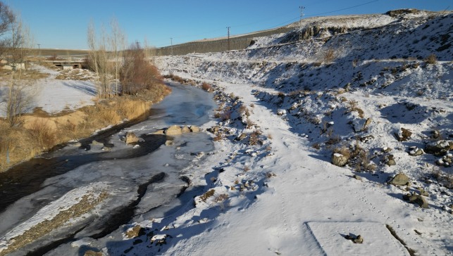 Ardahan ve Ağrı'da nehir ile dereleri buz, ağaçları kırağı kapladı