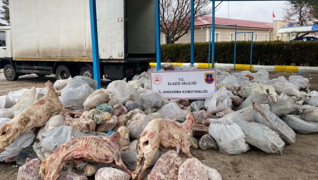 Elazığ'da kamyon kasasında 5 ton 880 kilogram kaçak et ele geçirildi