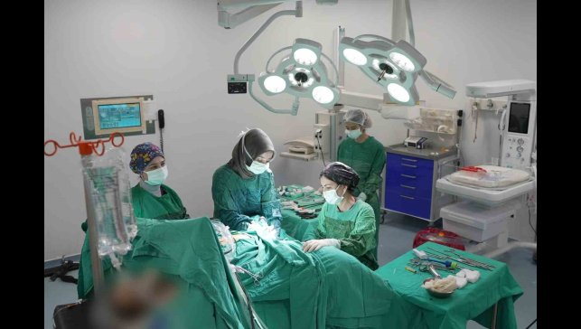 Endometrium kanserinde yenilikçi yöntem