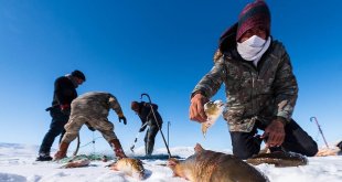Türkiye'nin en yüksek gölü buz tuttu