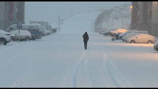 Yüksekova'da lapa lapa kar yağışı başladı