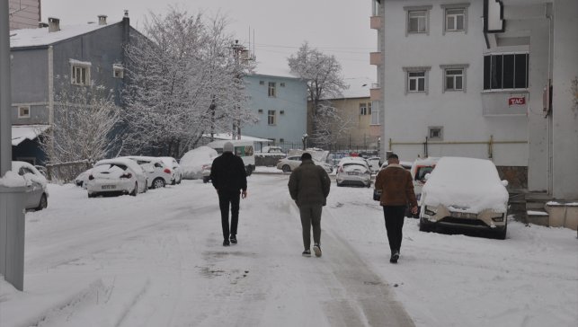 Van, Muş, Hakkari ve Bitlis'te kar etkili oldu