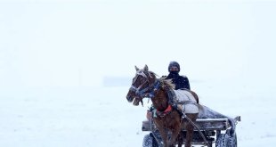 Murat nehri buz tuttu