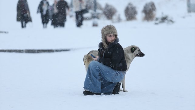 Erzurum, Kars, Tunceli ve Ardahan'da kar yağışı etkisini sürdürüyor
