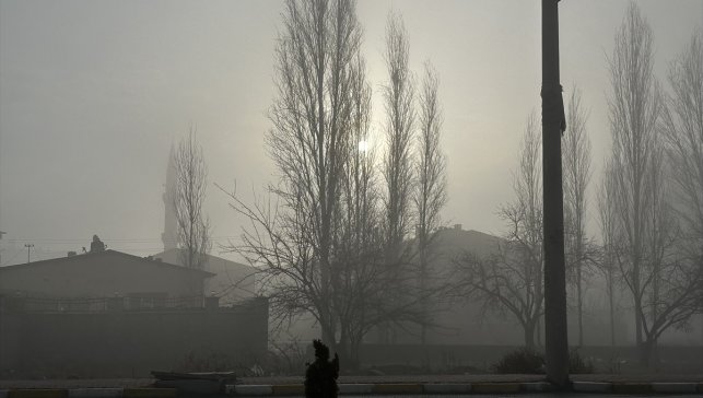 Iğdır'da yoğun sis etkili oluyor