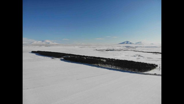 Bozkırın ortasındaki vahada kış güzelliği
