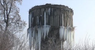 Ağrı ile Erzurum'da dondurucu soğuklarla nehir ve dereler buzla kaplandı