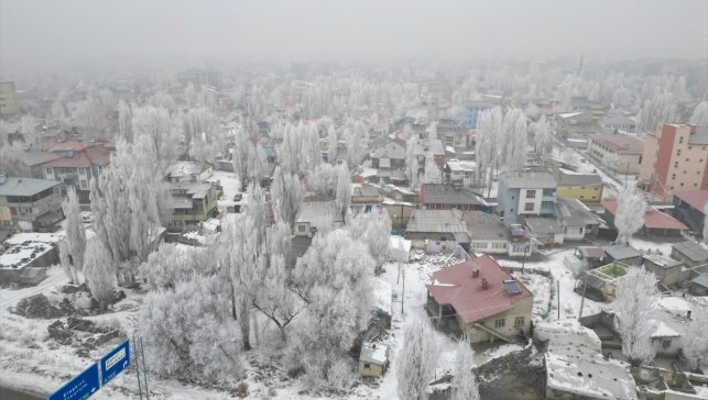 Ağrı'da soğuklar nehir ve dereleri dondurdu