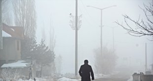 Ağrı'da soğuk hava etkili oldu