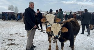 Ağrı Hayvan Pazarı'nda dondurucu soğuk çileye dönüştü
