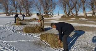 Ağrılı besiciler dondurucu soğuklara rağmen hayvancılığı sürdürüyor