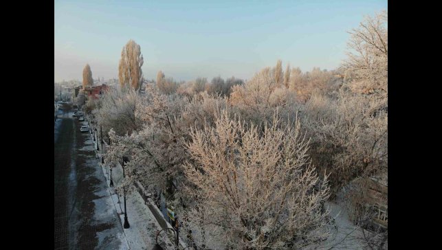 Kars adeta buz kesti