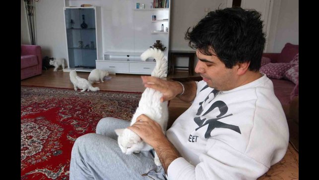 Van kedilerinin neslini kurtarmak için evinin kapılarını açtı