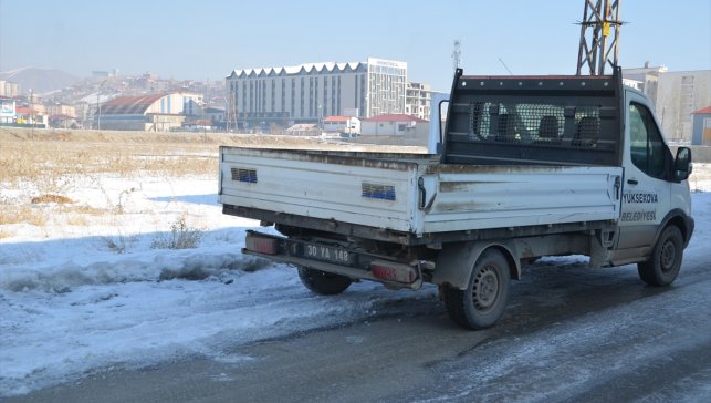 Yüksekova'da sahipsiz köpekler ekipler tarafından toplanıyor