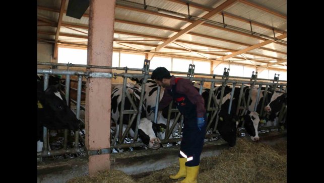 Erzincan'da 2024 yılında 1 milyon 170 bin doz aşılama gerçekleştirildi