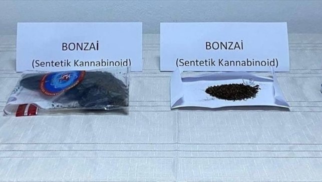 Erzurum'da uyuşturucu operasyonunda 2 şüpheli yakalandı