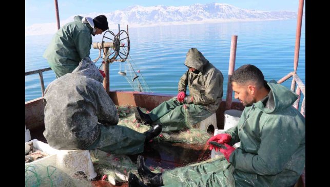 Erçek Gölü'ndeki balık popülasyonu balıkçıları sevindirdi