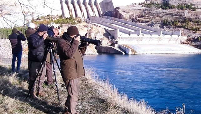 Elazığ'da kış ortası su kuşu sayımına başlandı
