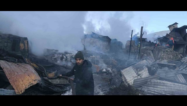 Faciayı köydeki köpekler önledi