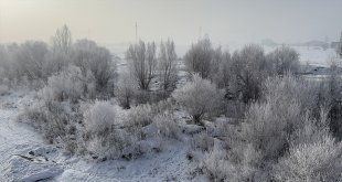 Ağrı, Ardahan ve Tunceli'de soğuk hava etkili oldu