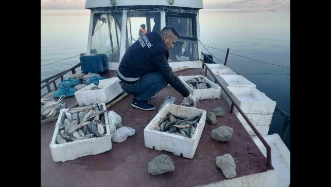 Van'ın ikinci büyük gölü Erçek'te inci kefali bereketi