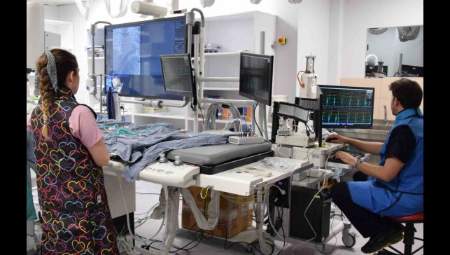 Her kişinin yaşadığı deneyim farklı olabilir, ancak kanserle mücadele eden herkes bir şekilde birbirine bağlıdır