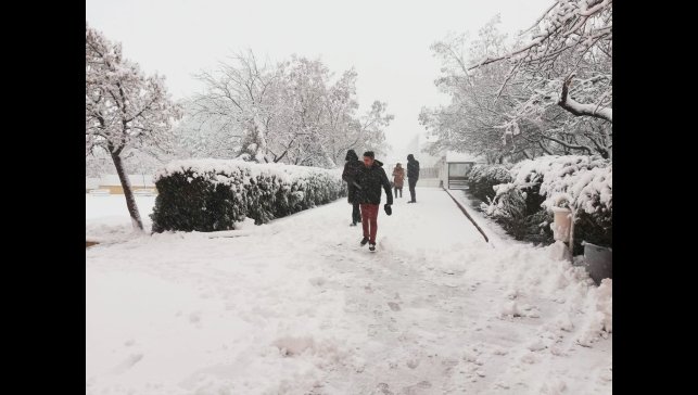 Malatya'nın yüksek kesimlerde kar kalınlığı yarım metreye ulaştı