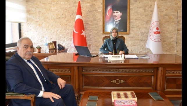 Tercan'da kurtuluş hazırlıkları devam ediyor