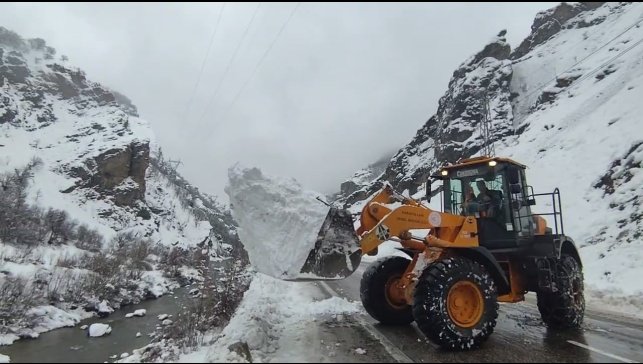 Tunceli'de 1 ilçede tüm okullar tatil edildi, 5 ilçede taşımalı eğitime ara verildi
