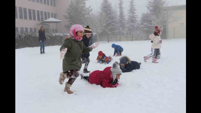 Erzincan'ın Refahiye ve Çayırlı ilçelerinde kar tatili