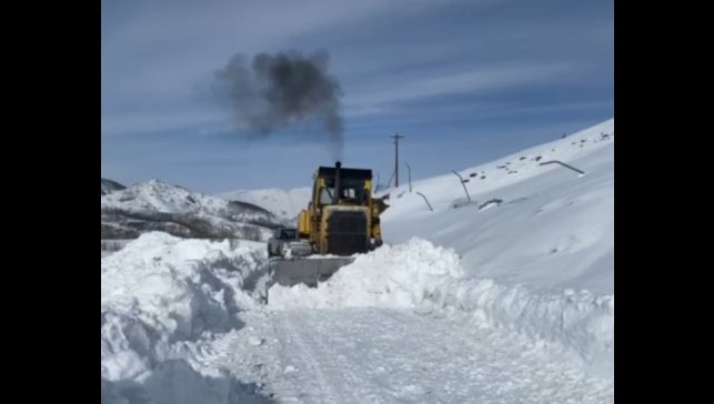 Tunceli'de kardan kapanan köy yolunu açmak için çalışmalar sürüyor